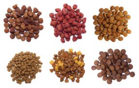 Are There Different Sizes of Dog Food