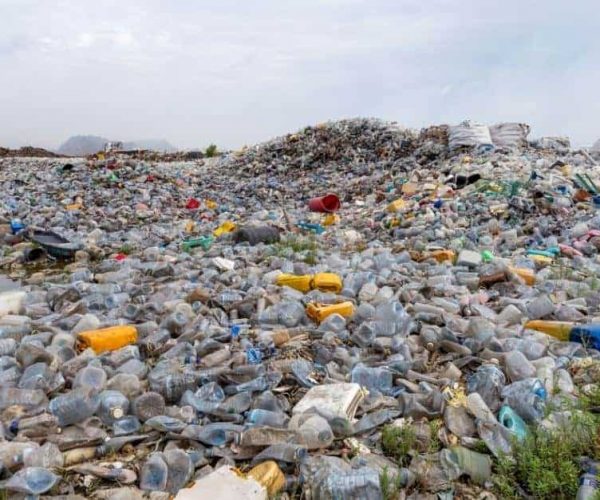 Benefits of Reusable Water Bottles