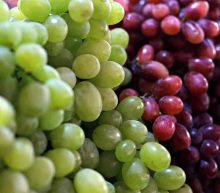 Benefits of Store - Bought Dog Food - Grapes