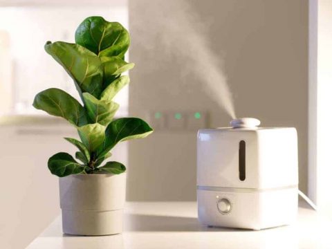 Best for the Money Honeywell Cool Moisture Console Humidifier