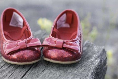 Buying Guide to Women's Slippers – unusual