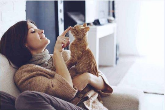 Homemade Cat Toy Ideas