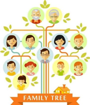 How to Trace Your Family Tree