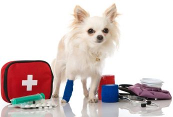 Must Haves for Your Emergency Kit