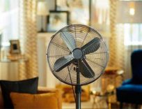 Should You Buy it - Invest in fans