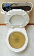 Signs of a Clogged Toilet - 5