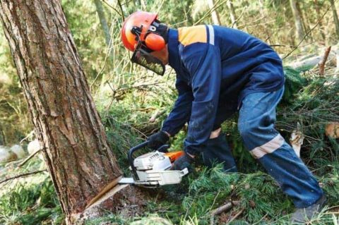 Tips for Safely Using a Chainsaw