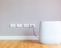 Tips for Setting Up a New Dehumidifier - Plug it