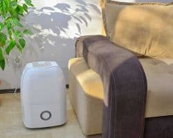 Tips for Setting Up a New Dehumidifier - close to furniture
