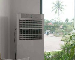 Tips for Setting Up a New Dehumidifier - doors open