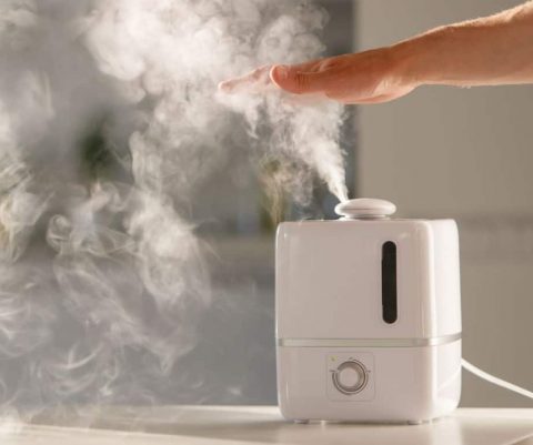 Top Humidifier Considerations and Features