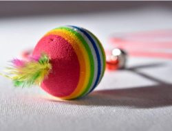 Types of Cat Toys - activity toys