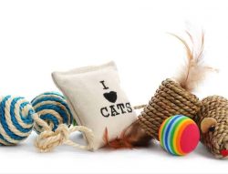 Types of Cat Toys - catnip toys