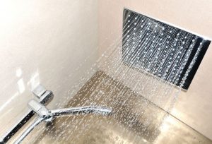 Types of Shower Heads - ceiling shower head