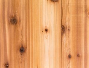 Types of Wood - Cedar