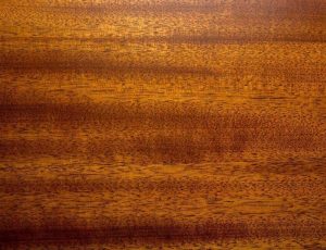 Types of Wood - Mahogany