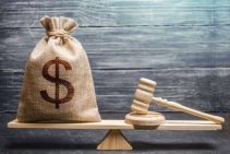 What is VIZR - High fines and fees