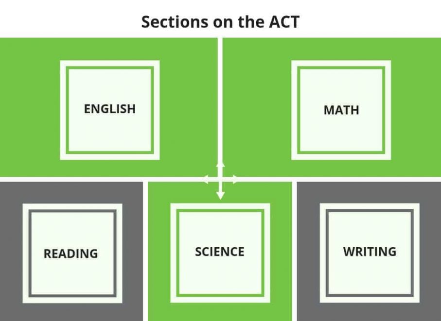 What is a Standardized Test
